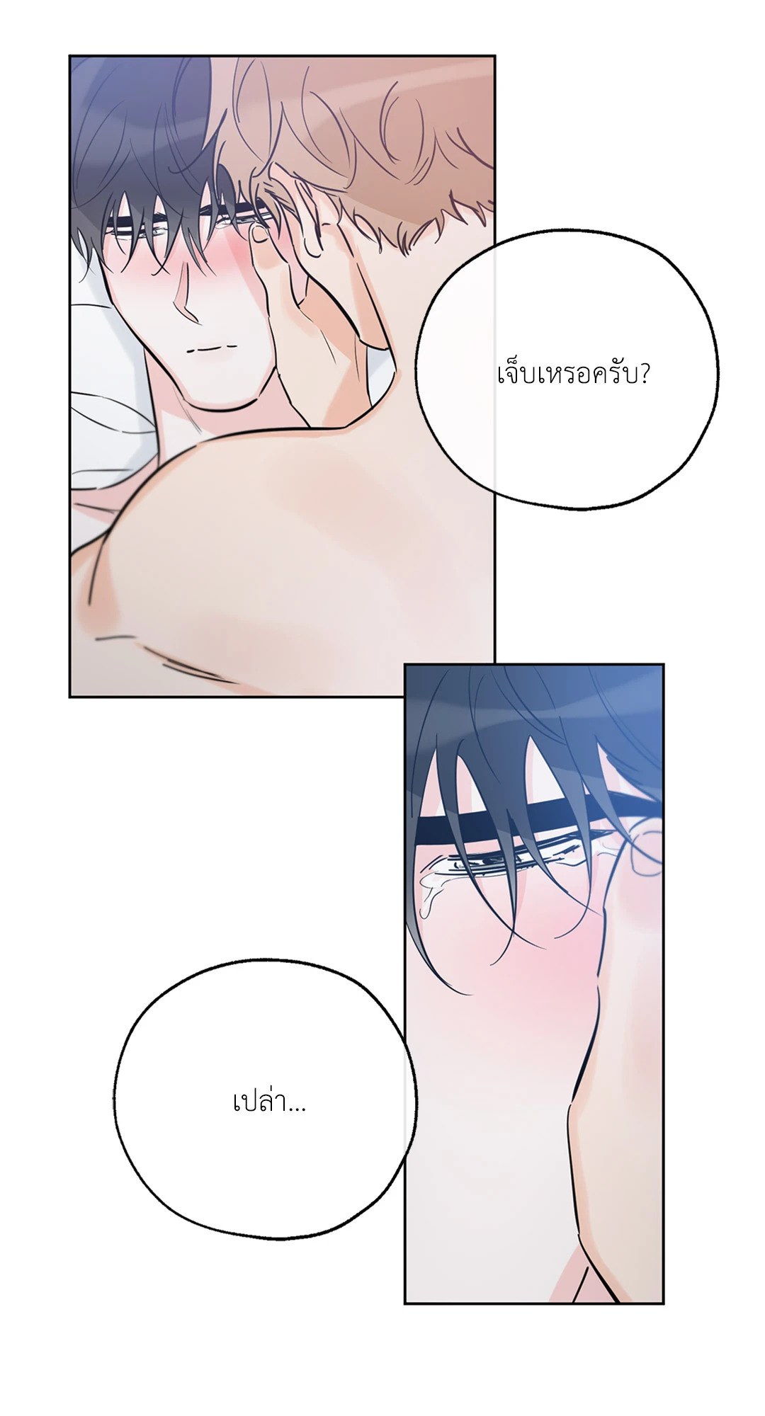 หน้า 43