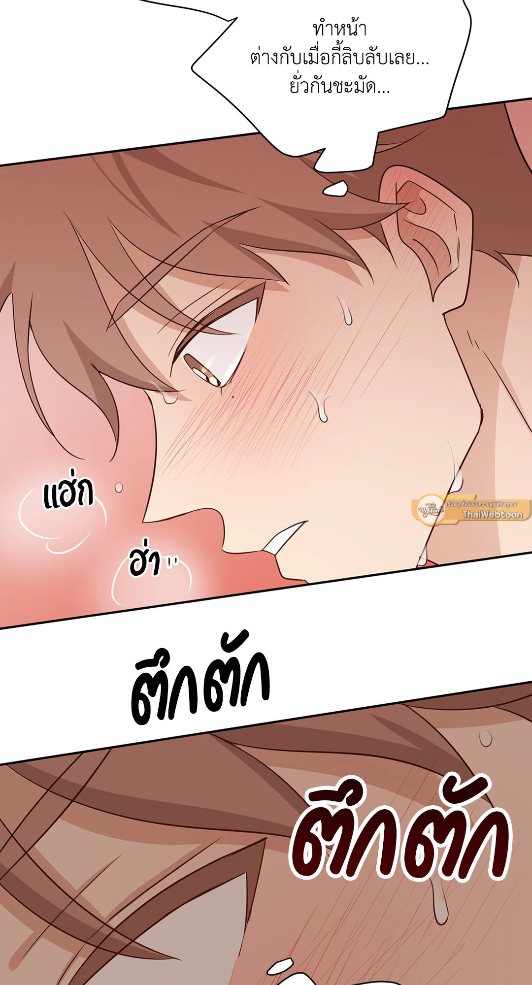 หน้า 44