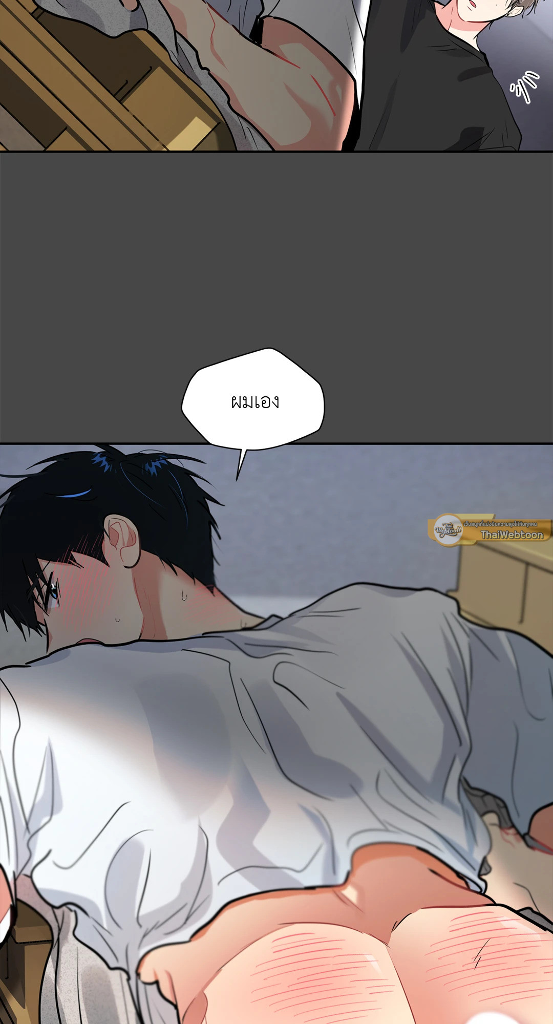 หน้า 43
