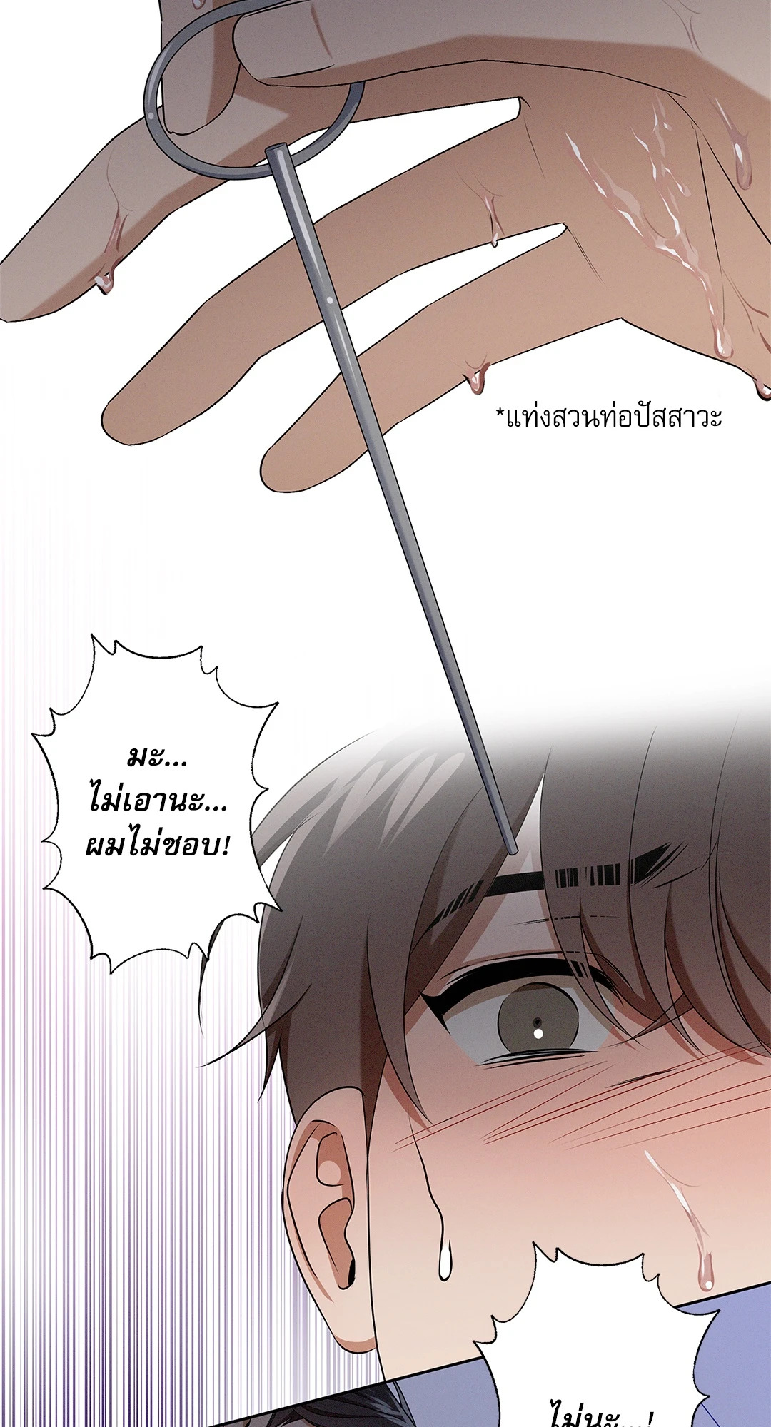 หน้า 42