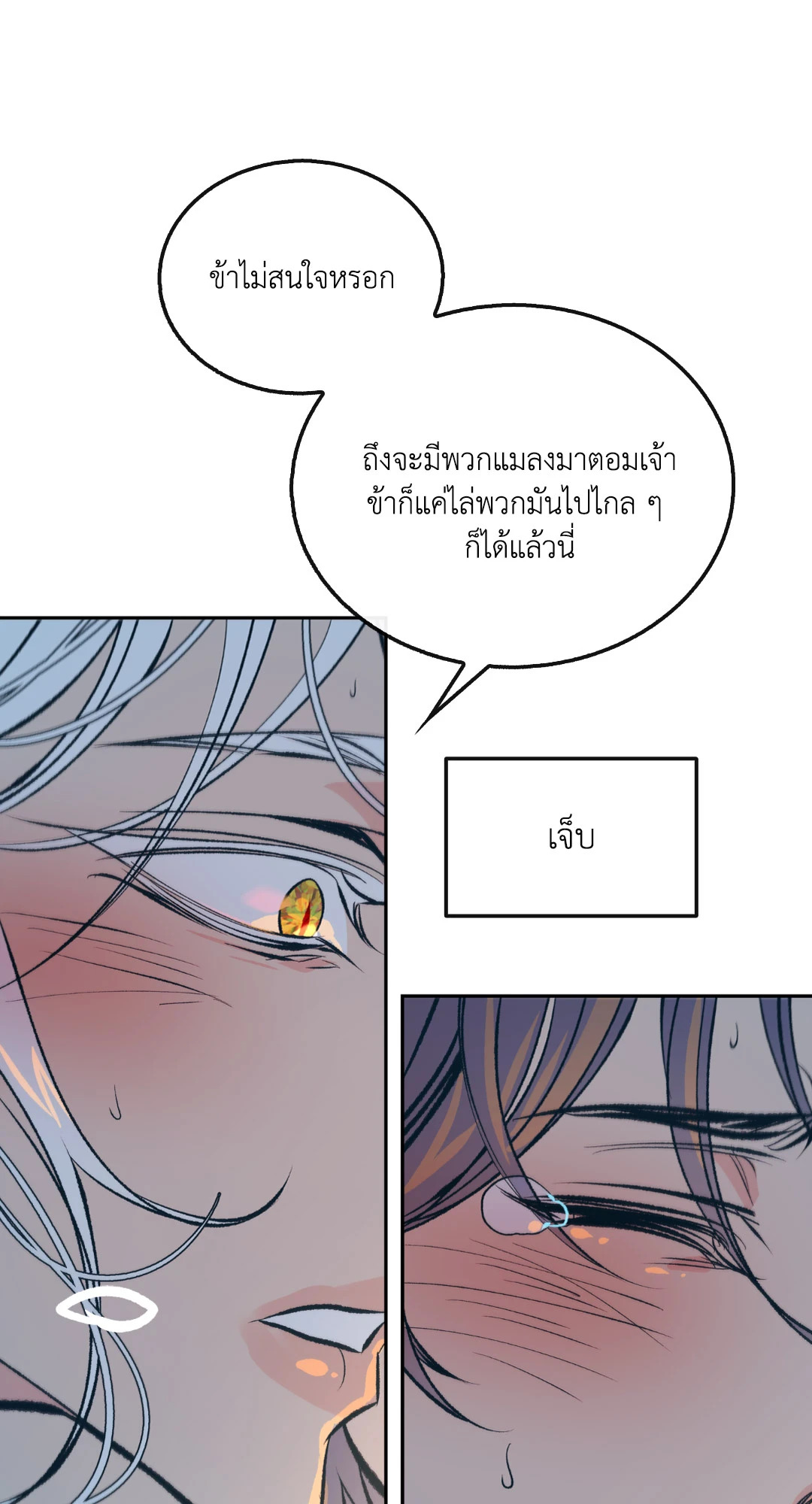 หน้า 62