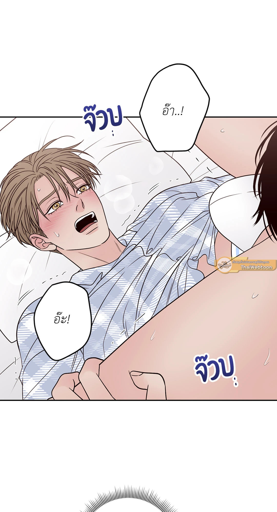 หน้า 41