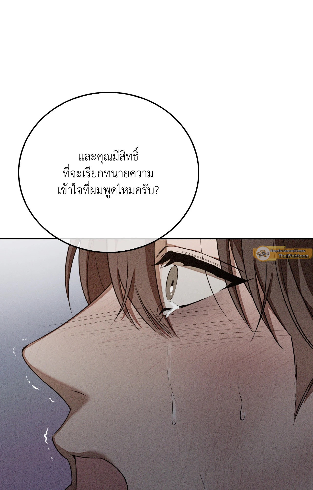 หน้า 102