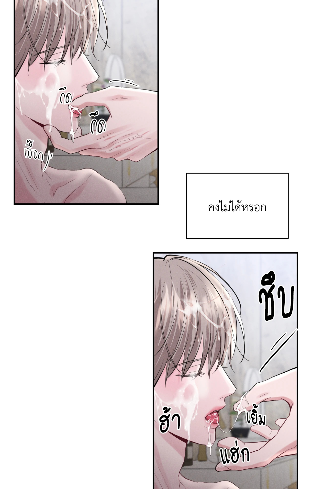 หน้า 43