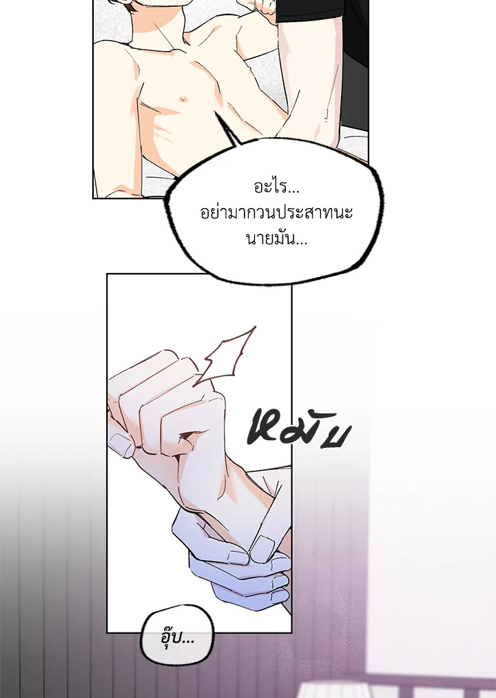 หน้า 46