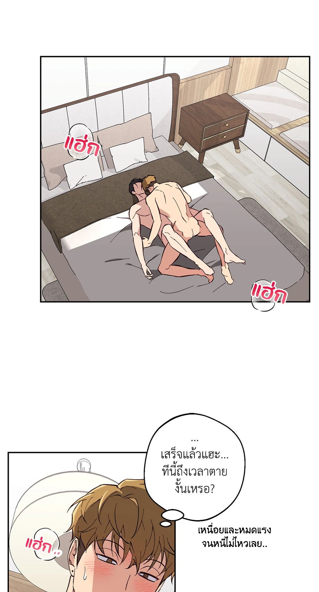 หน้า 43