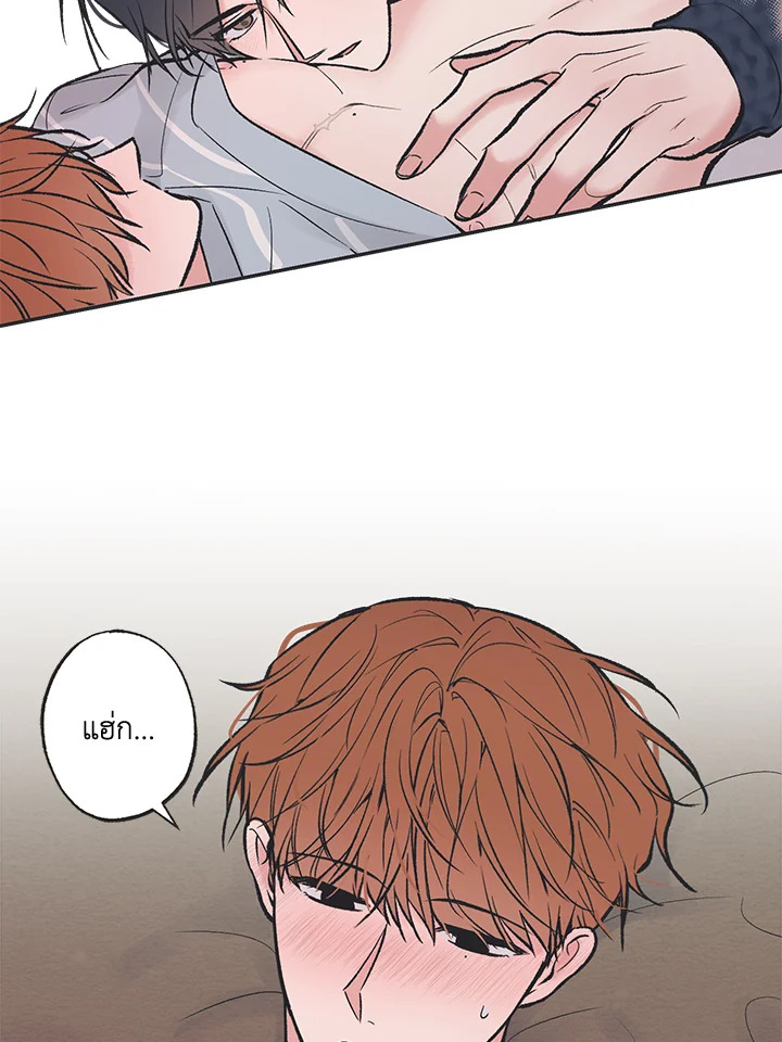 หน้า 45
