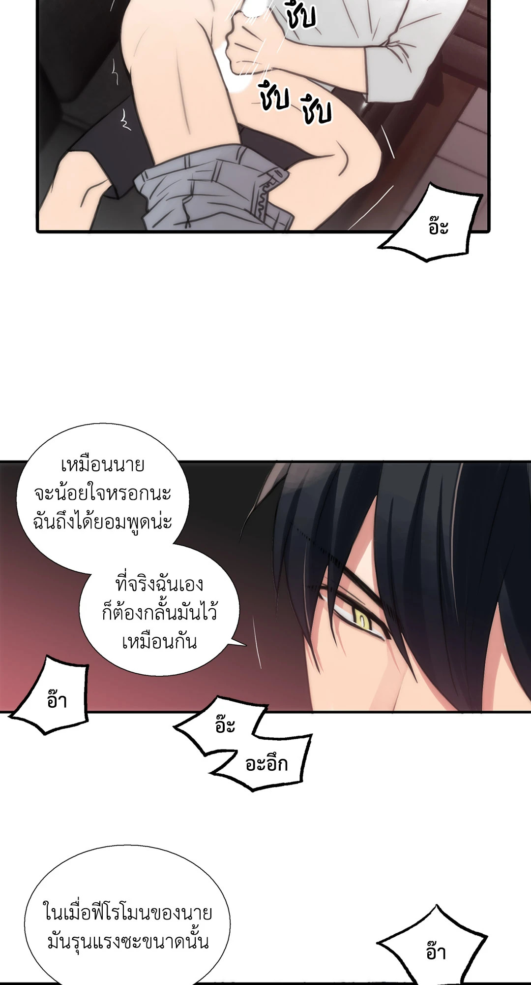 หน้า 21