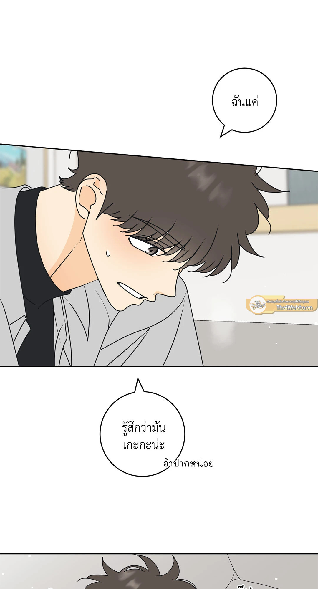 หน้า 43