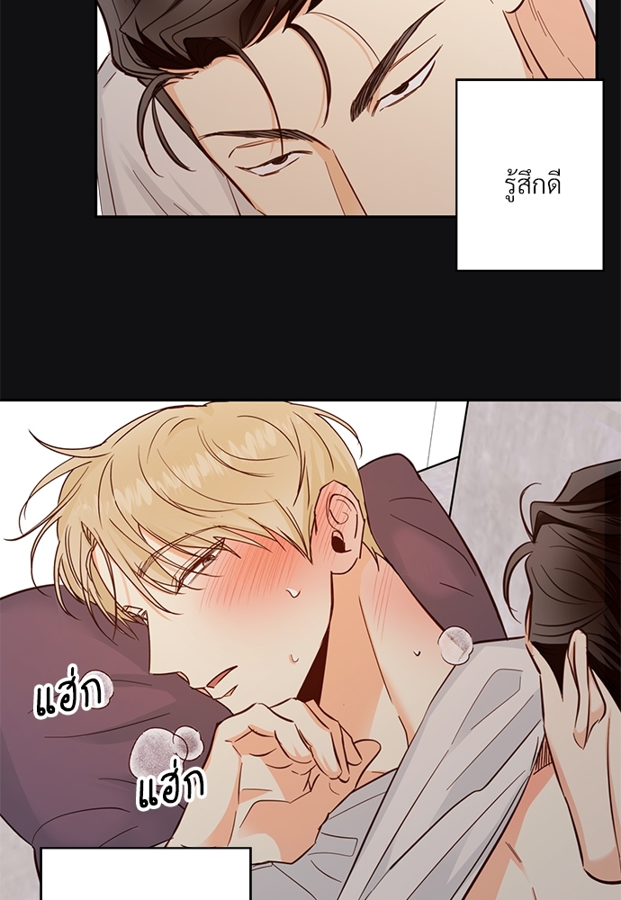 หน้า 44