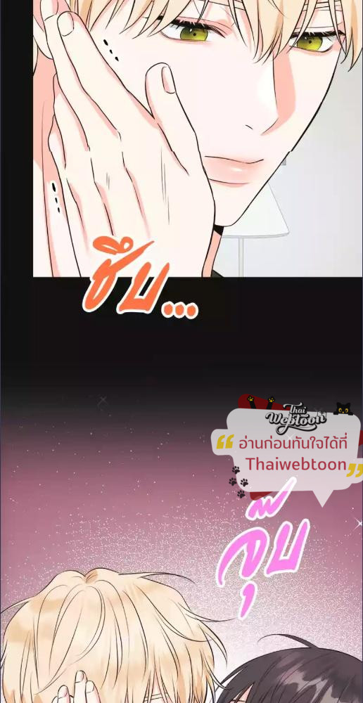 หน้า 61
