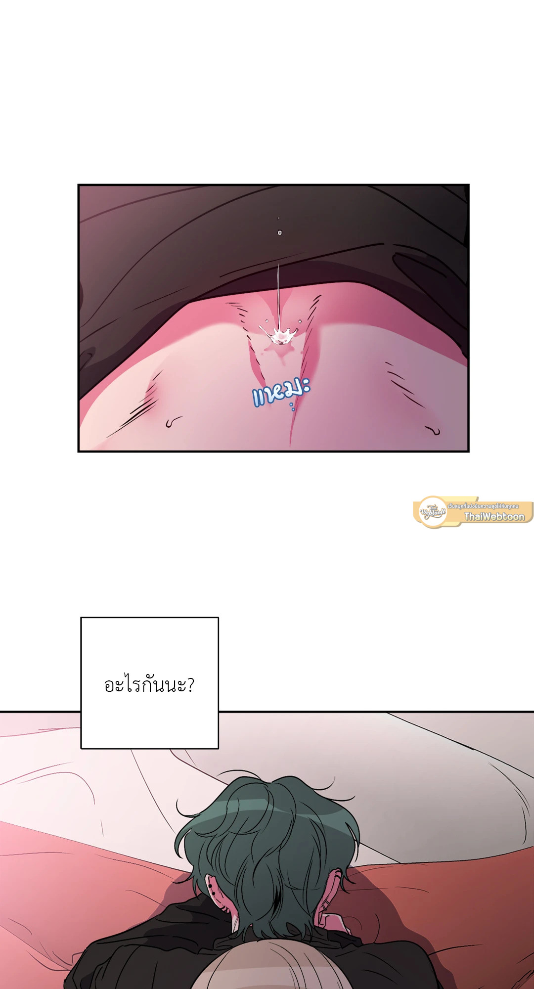 หน้า 41