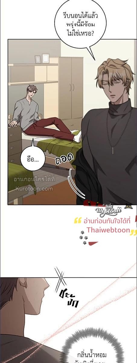หน้า 41