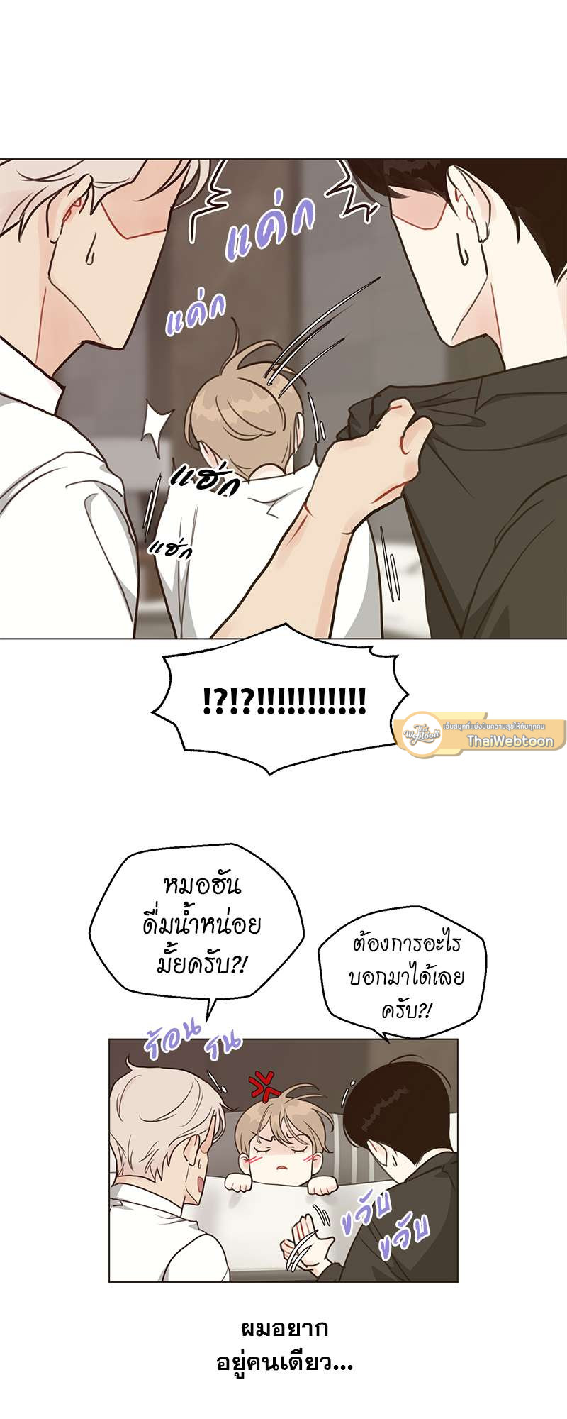 หน้า 43