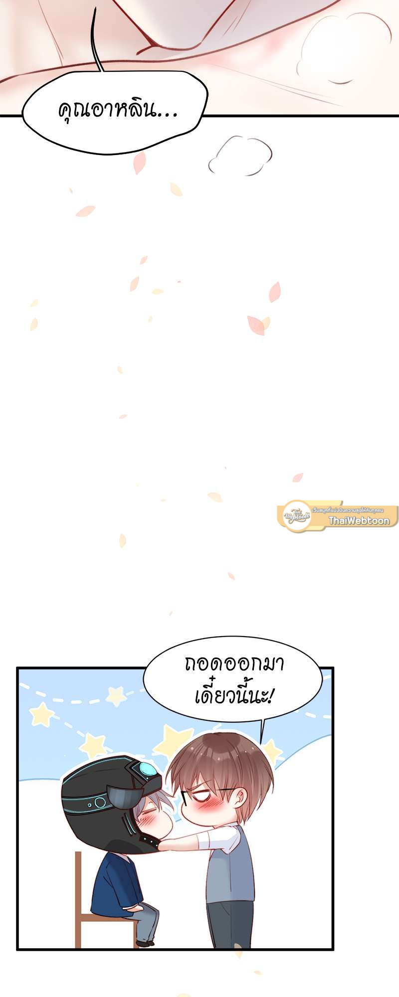 หน้า 29