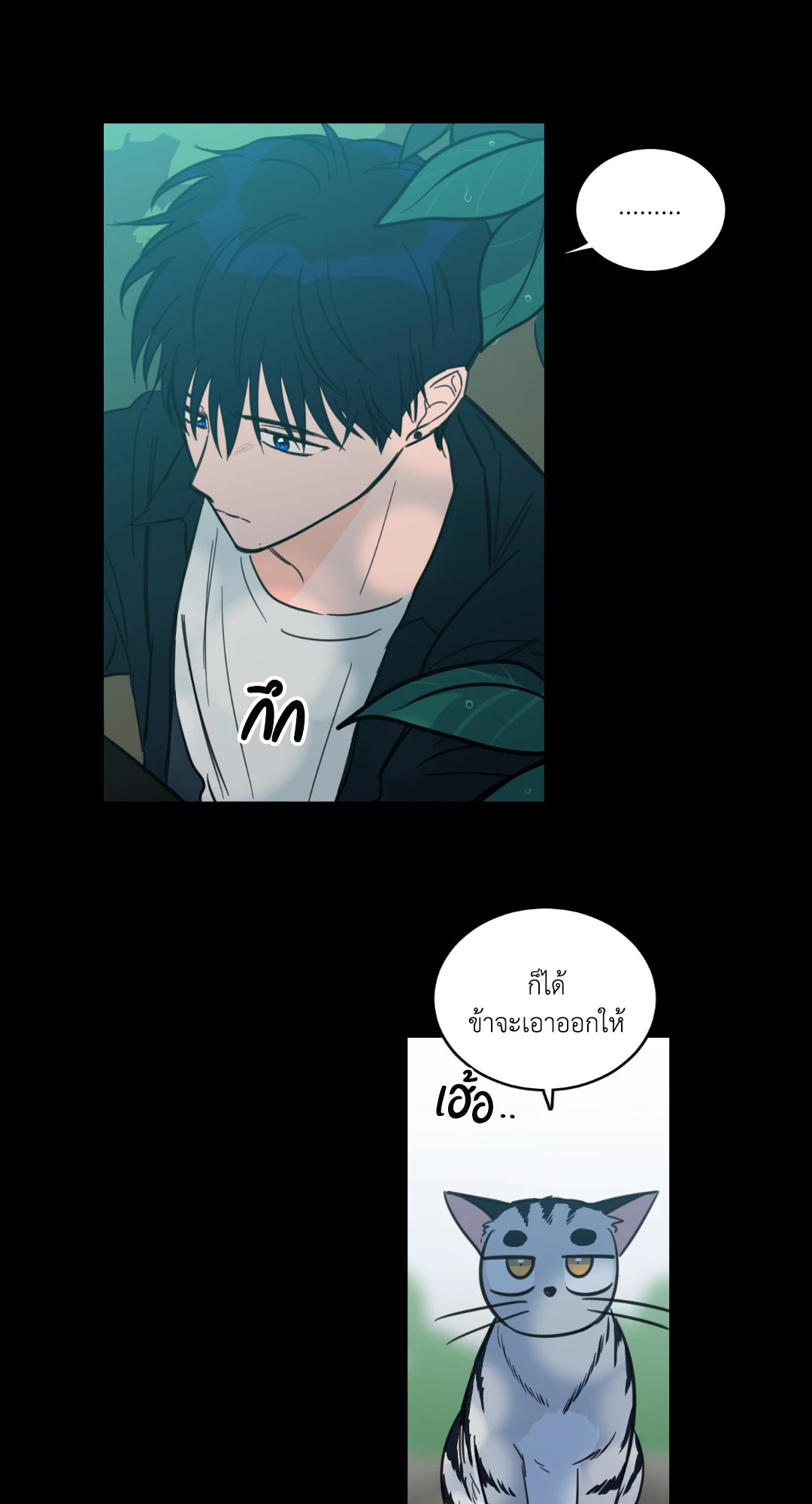หน้า 41
