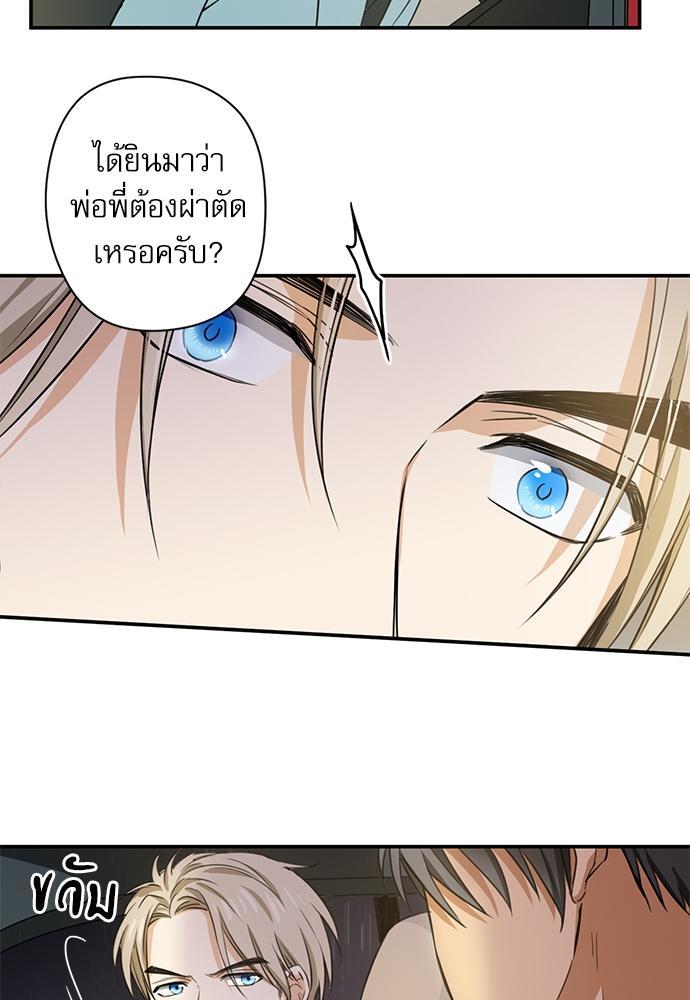 หน้า 41