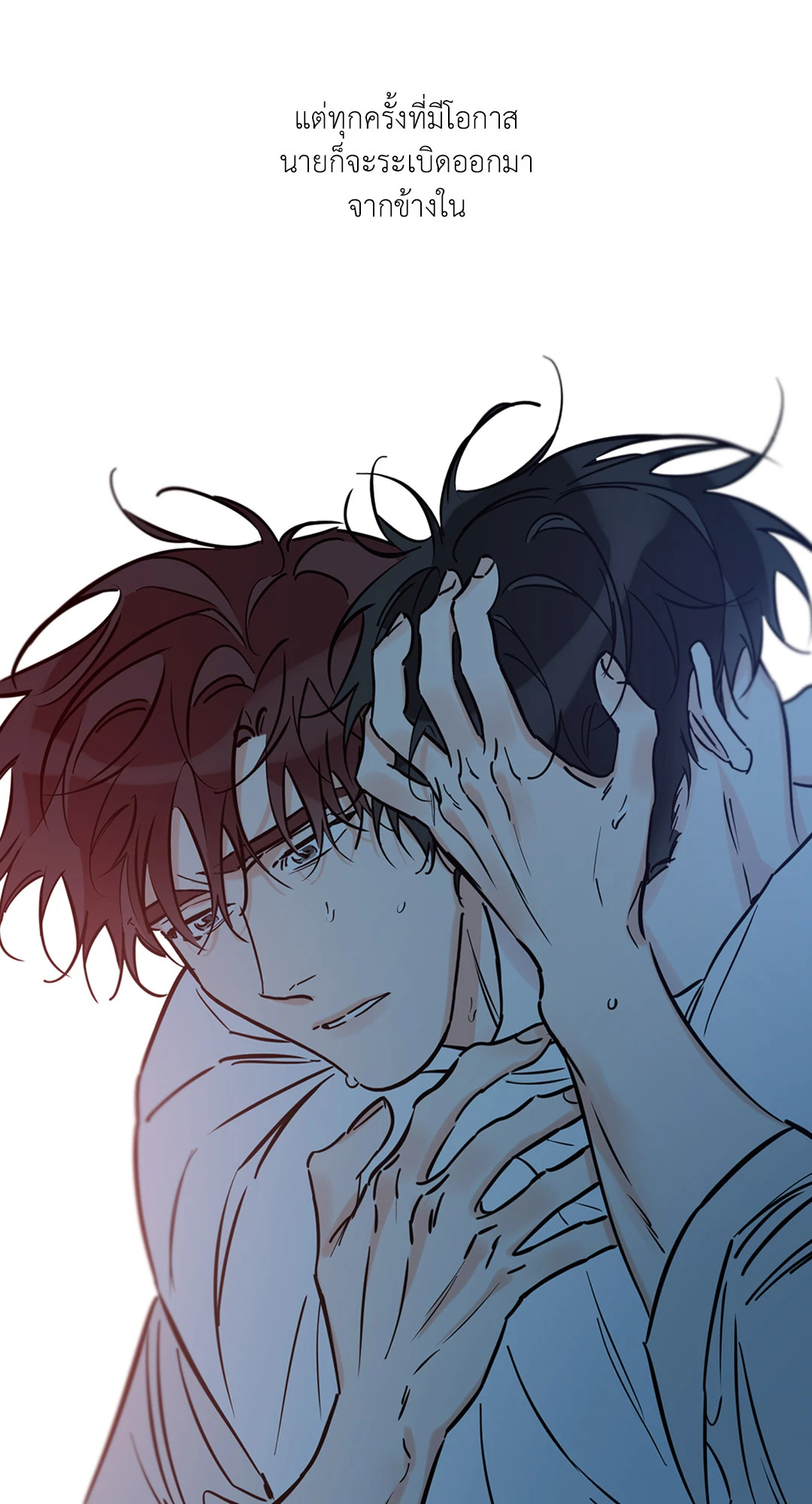 หน้า 41