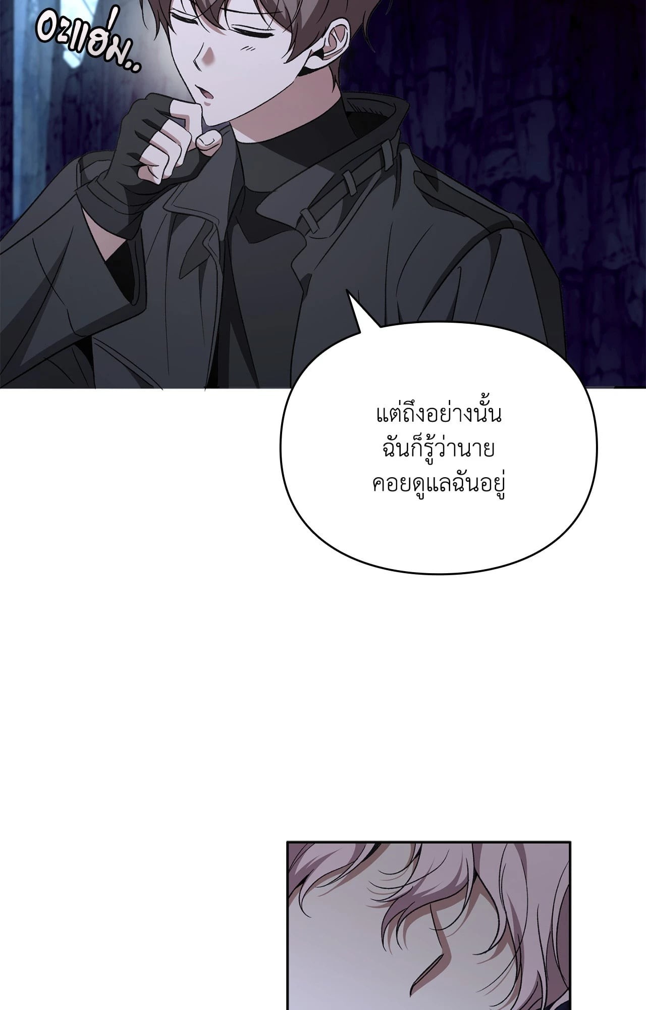 หน้า 30