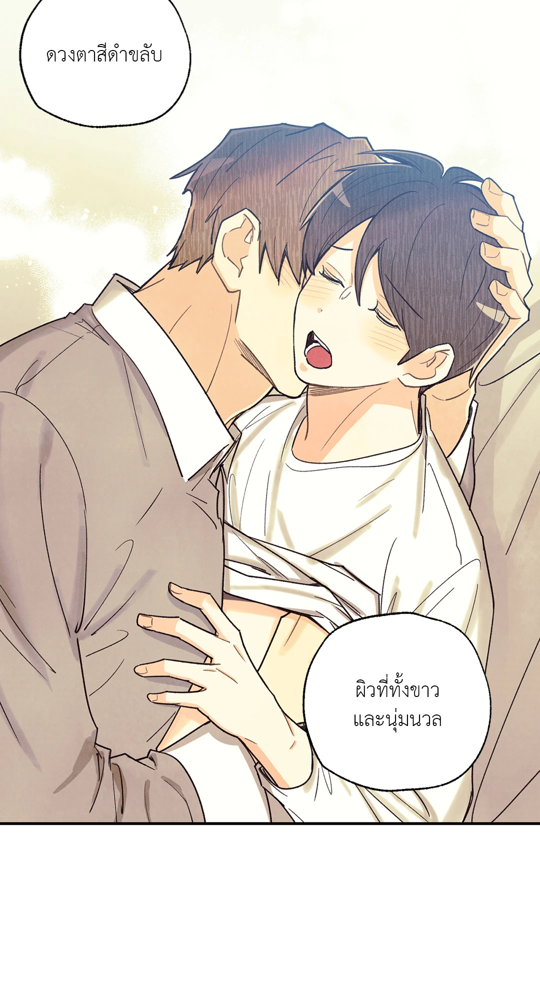 หน้า 43