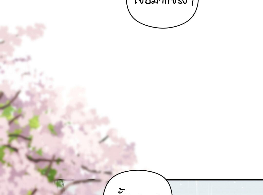 หน้า 146