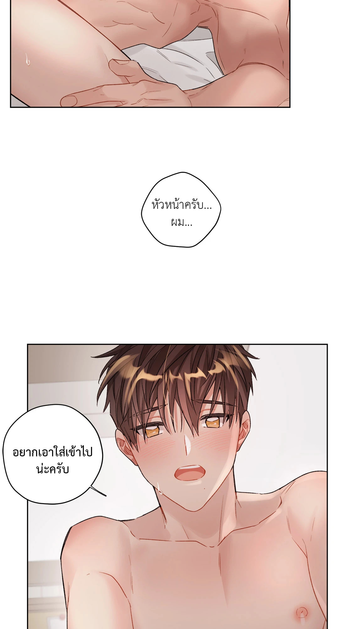 หน้า 46