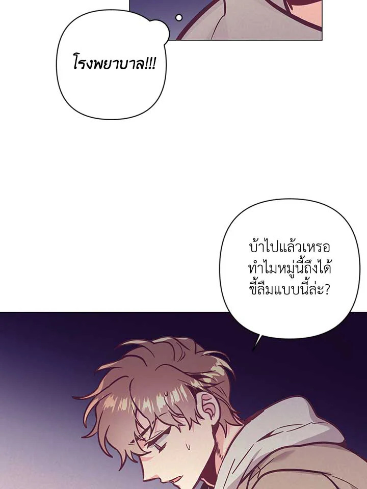 หน้า 31