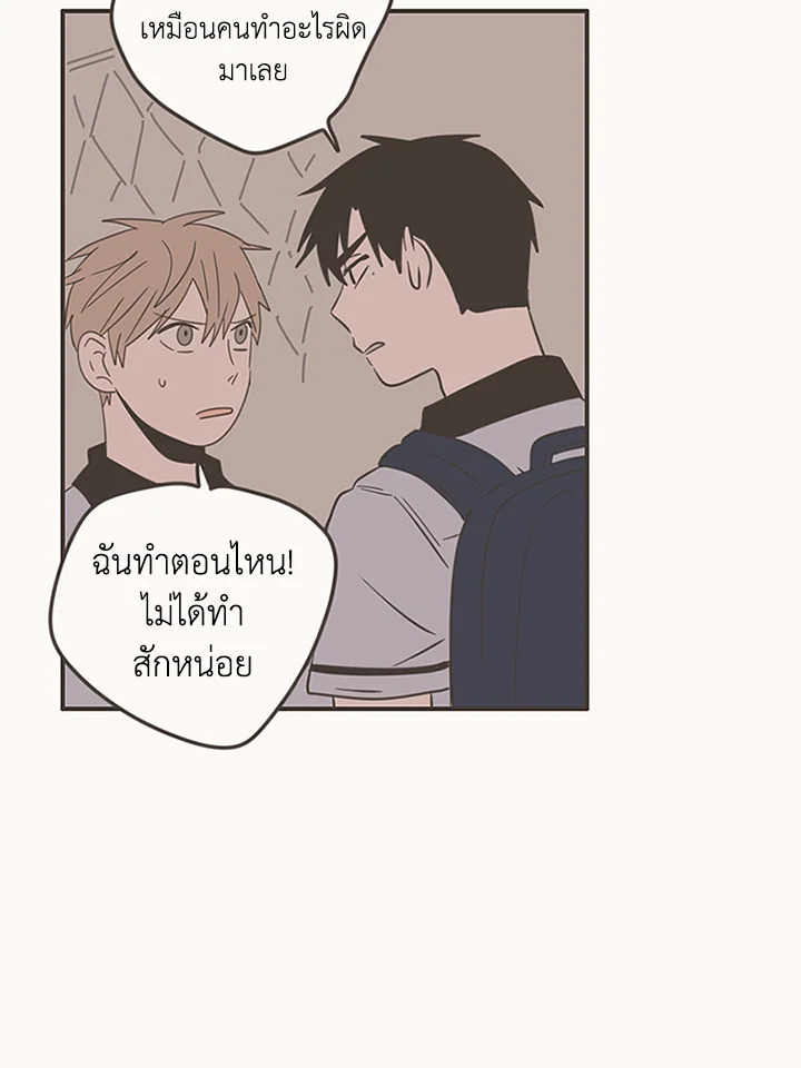หน้า 41