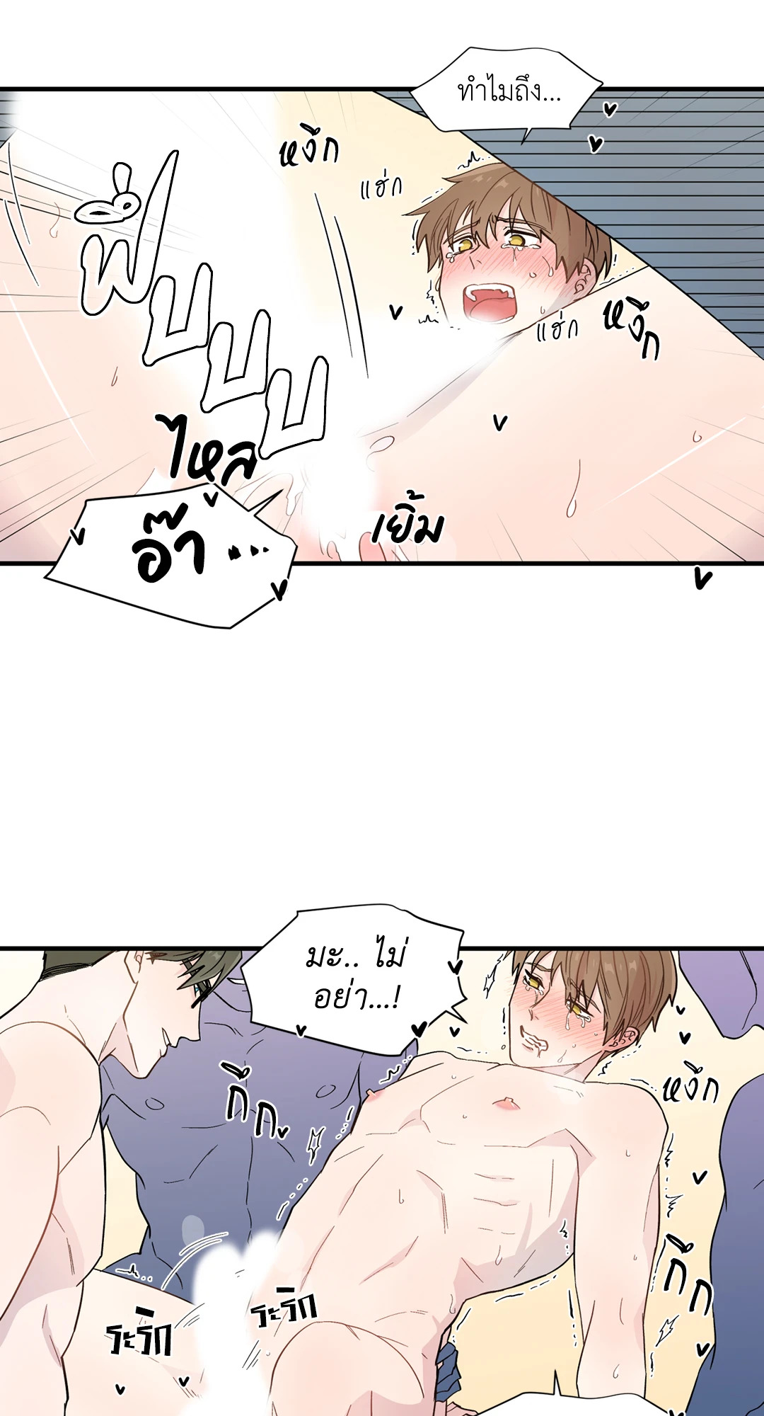 หน้า 31