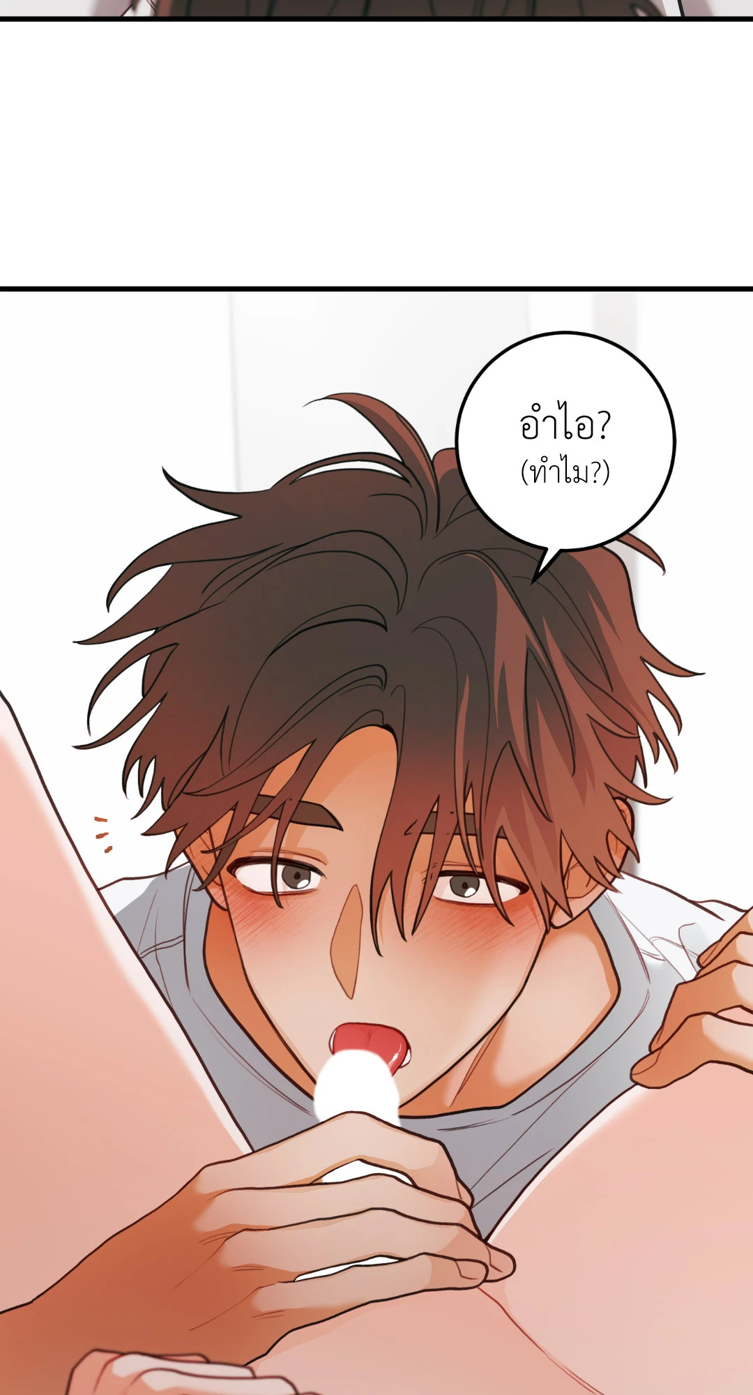 หน้า 41