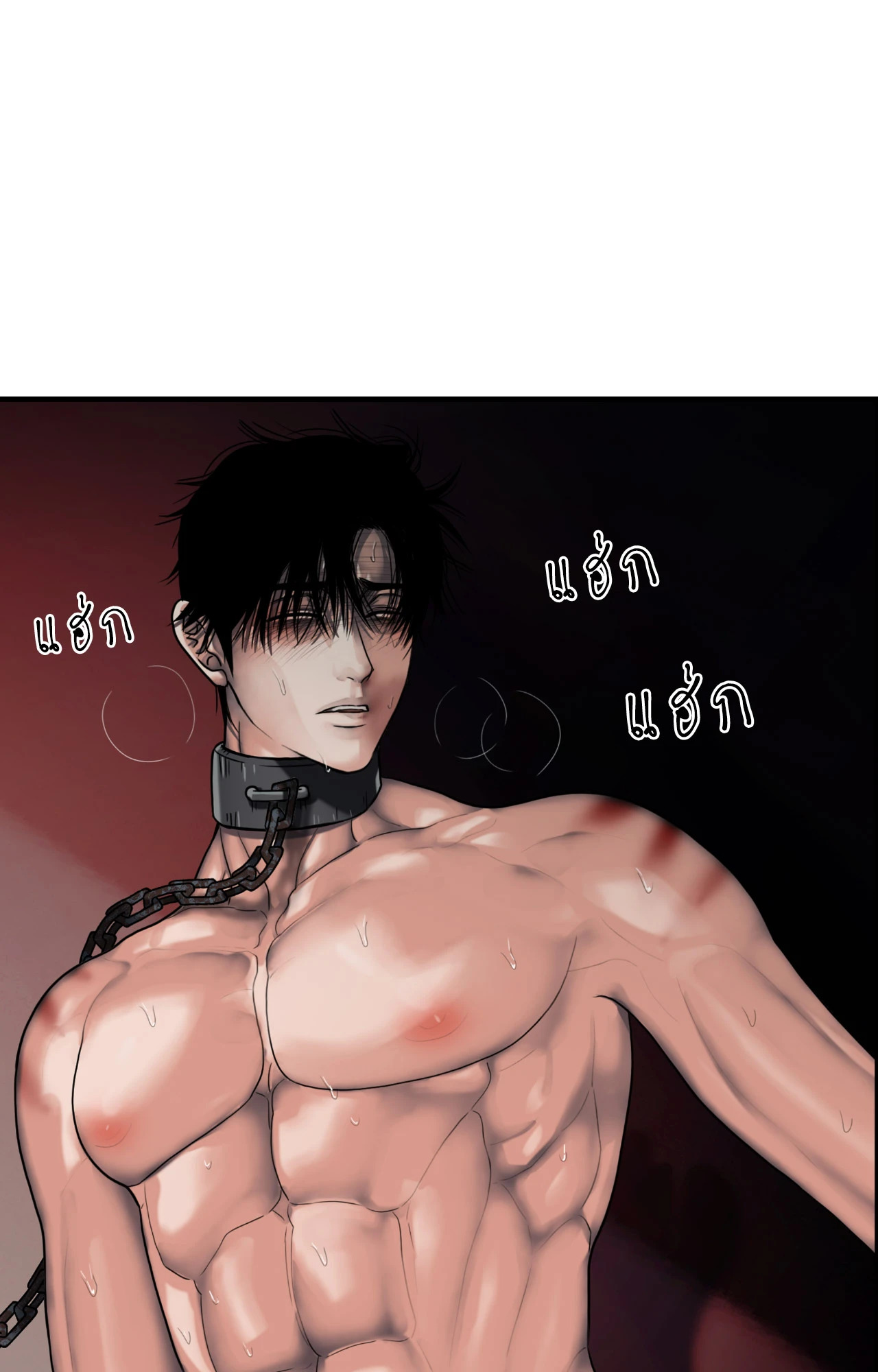 หน้า 41
