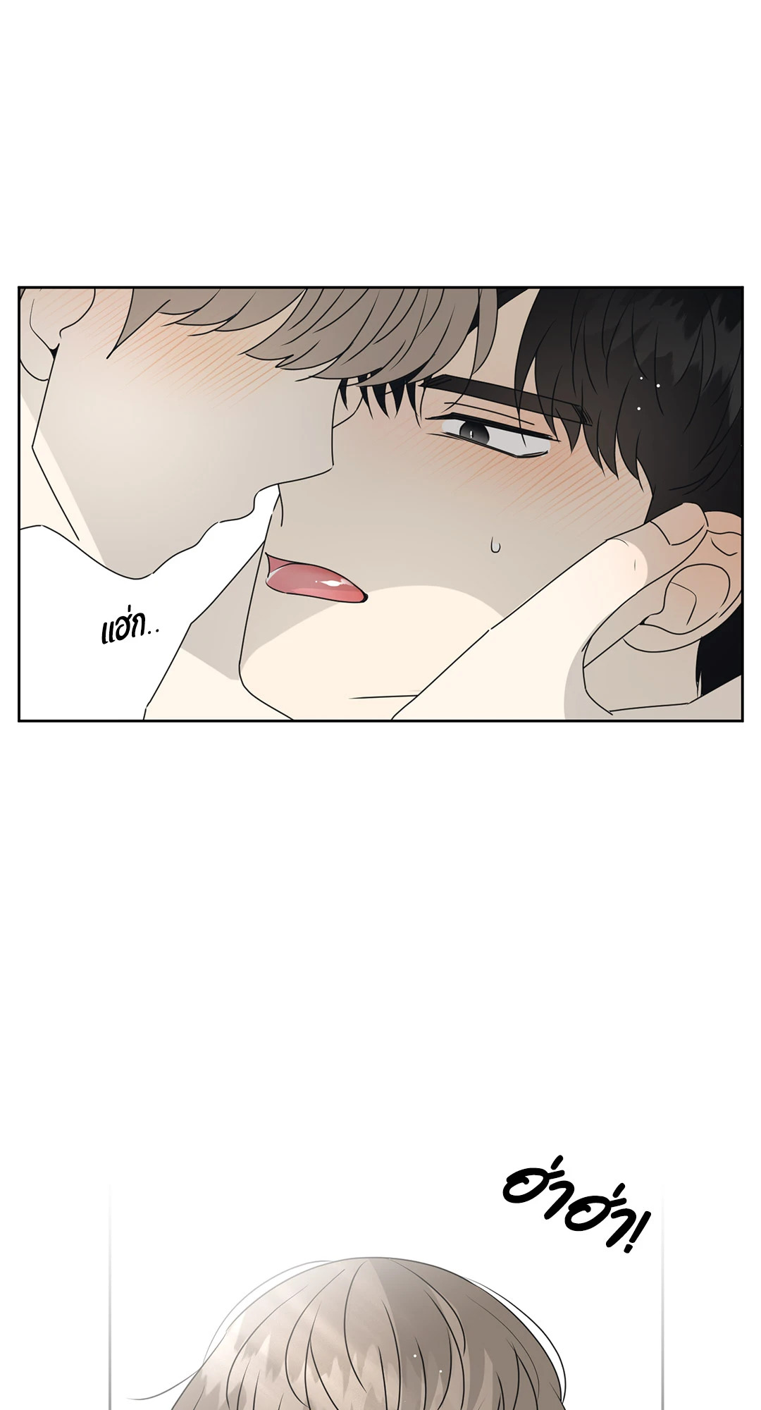 หน้า 31