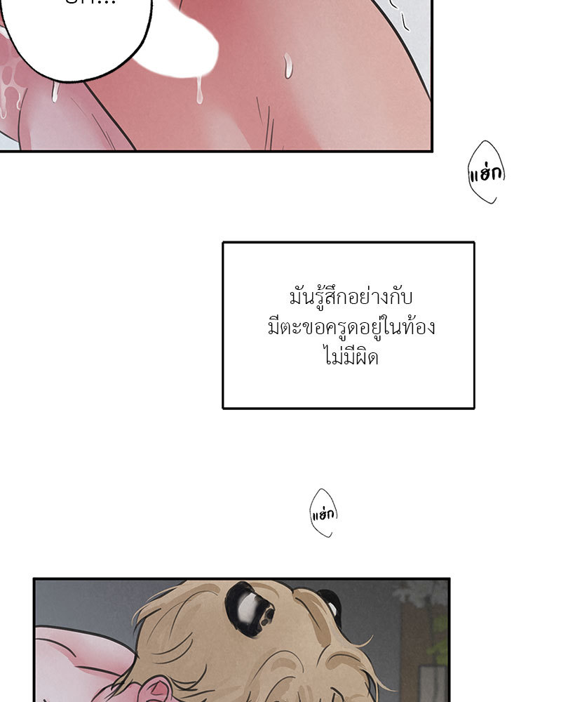 หน้า 71