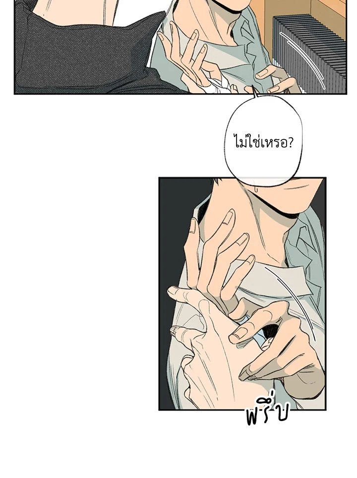 หน้า 64