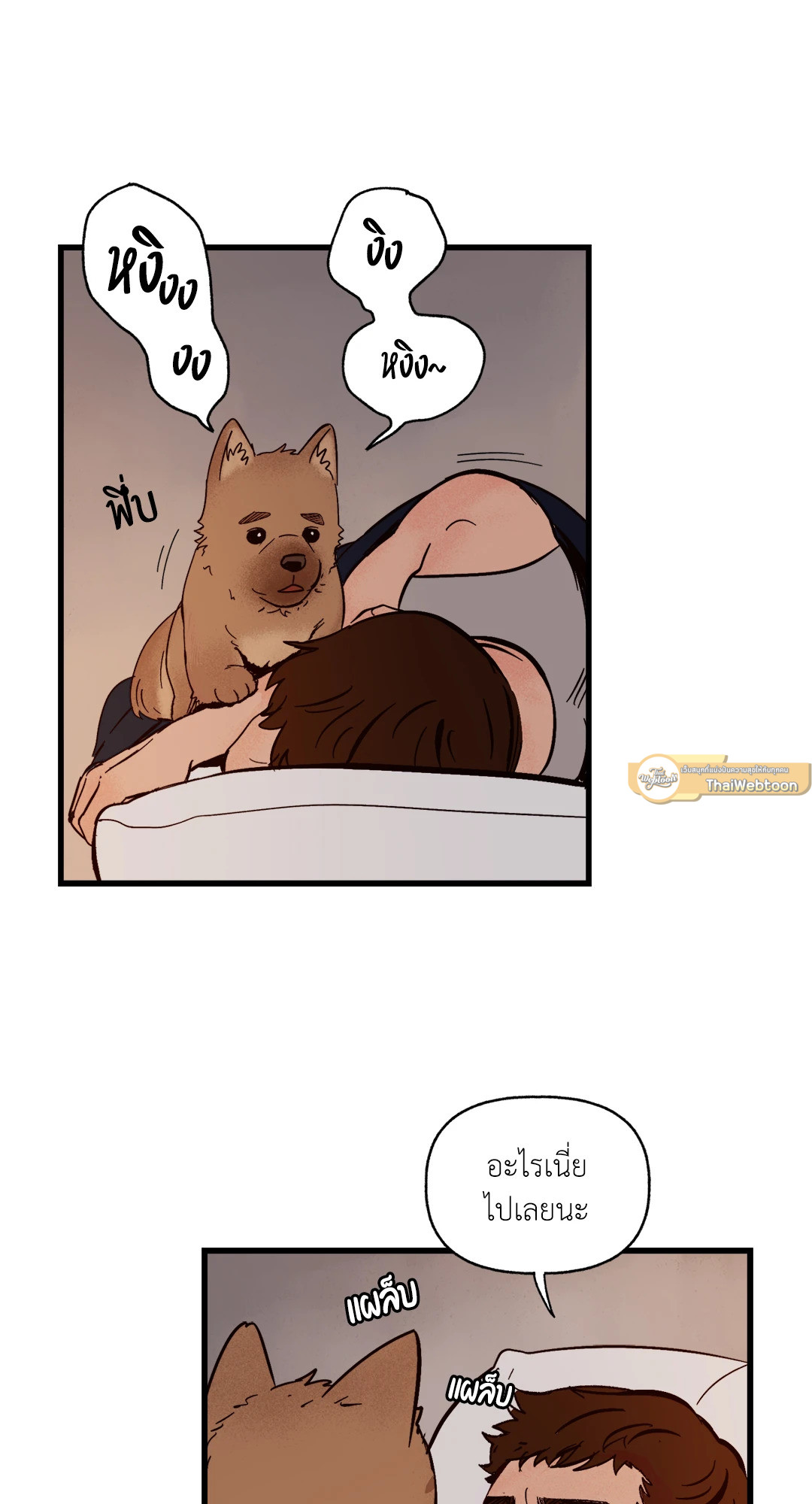 หน้า 53