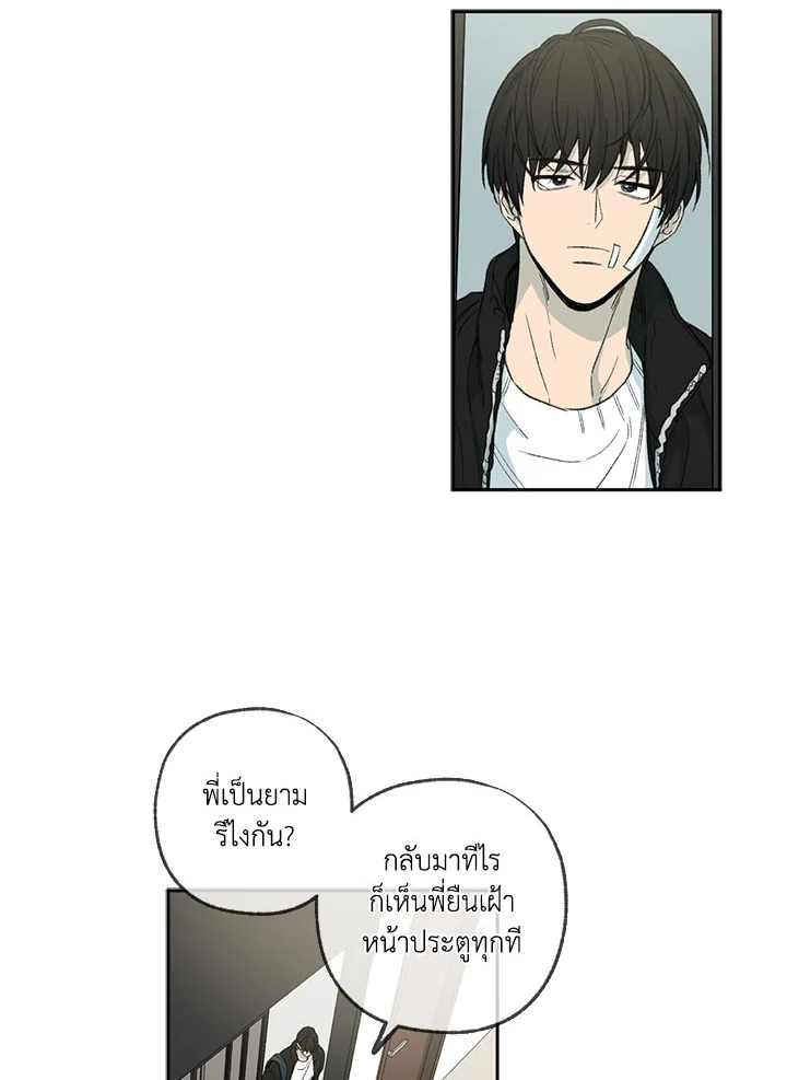 หน้า 52