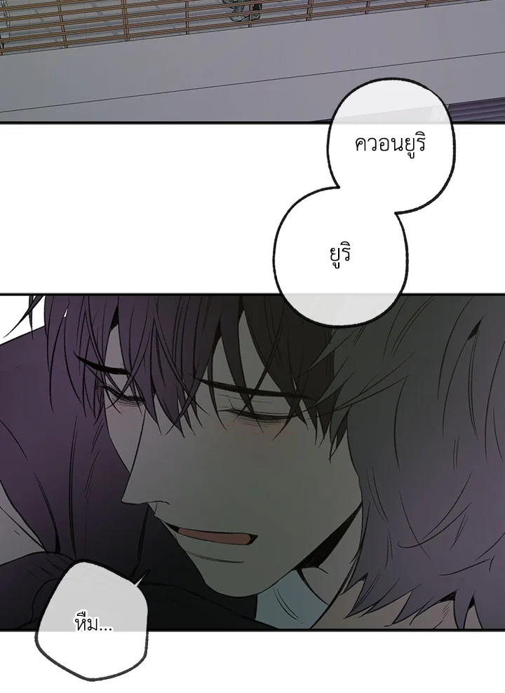 หน้า 41