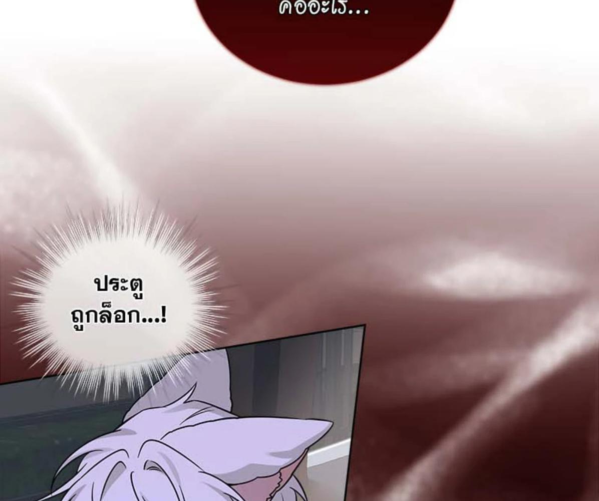 หน้า 117