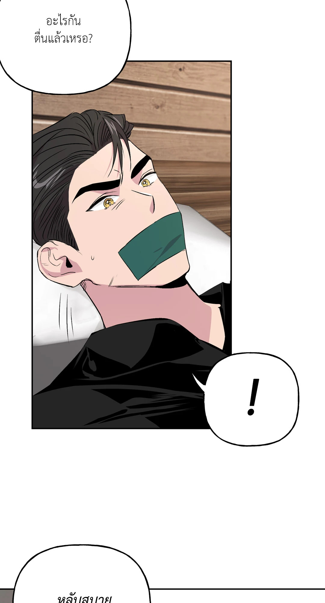 หน้า 29