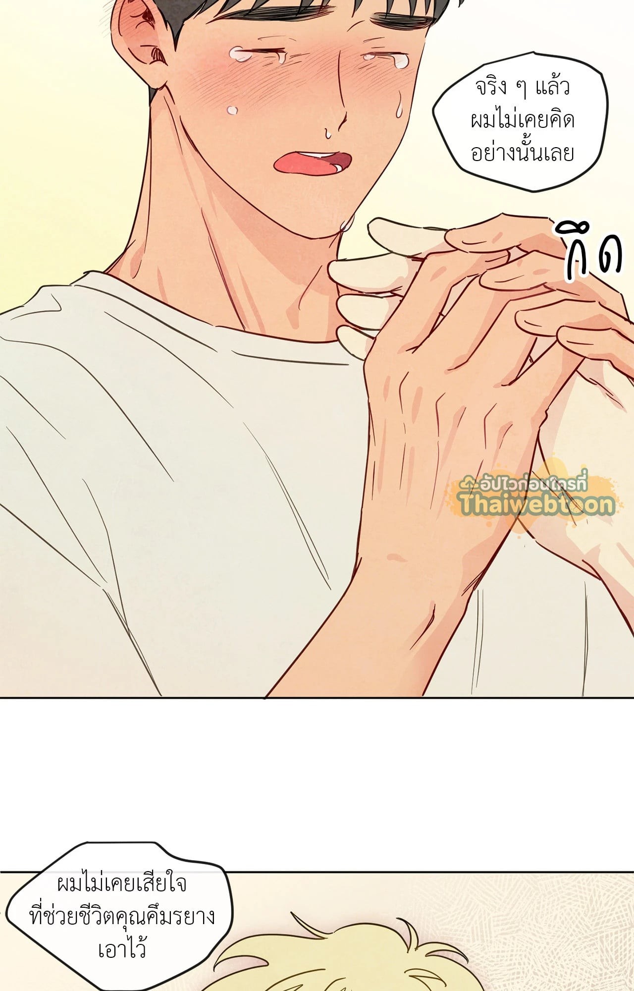 หน้า 29