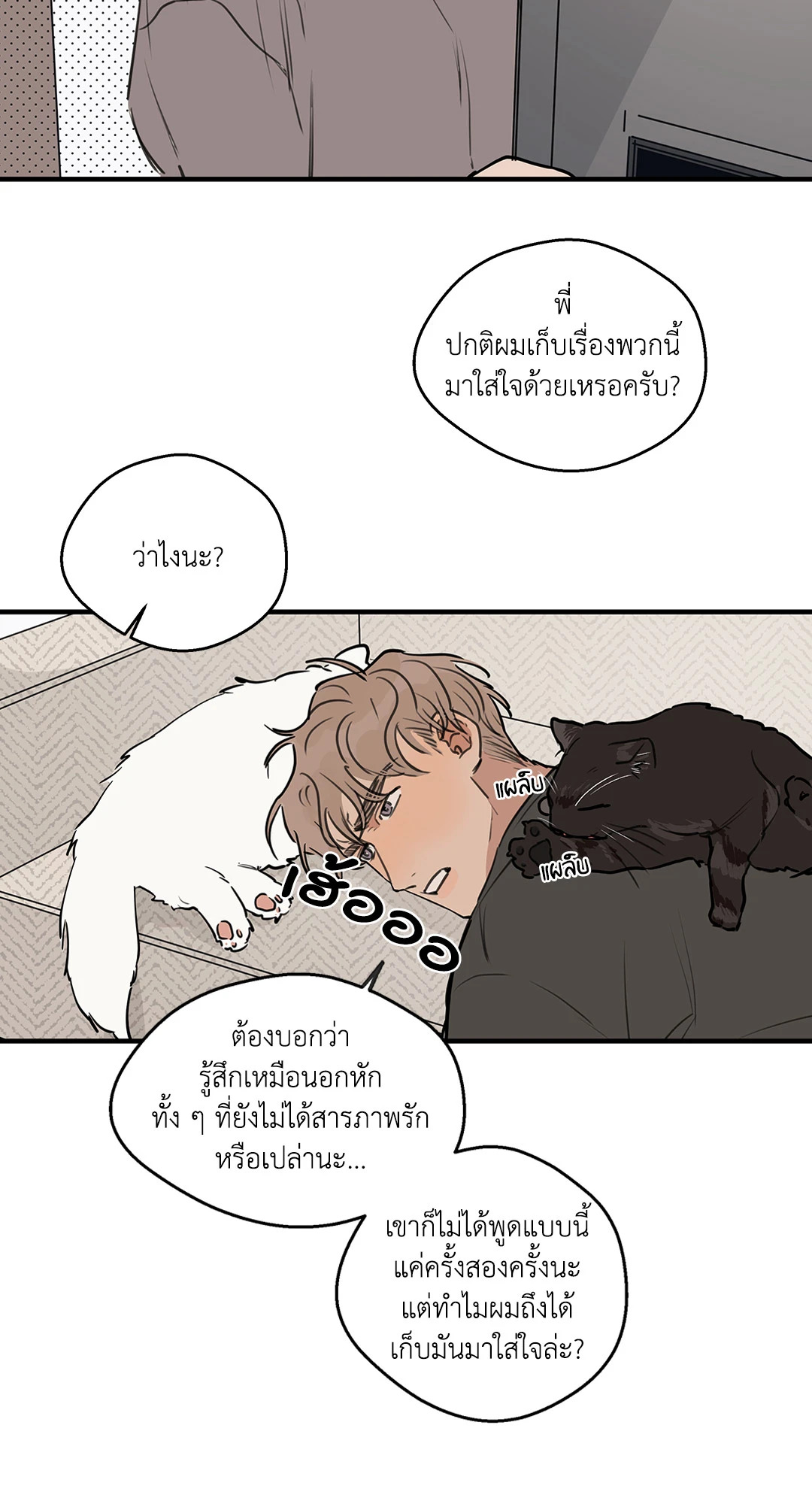 หน้า 52