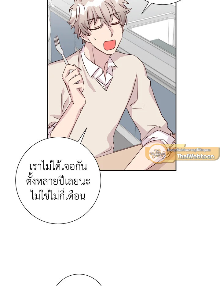 หน้า 42