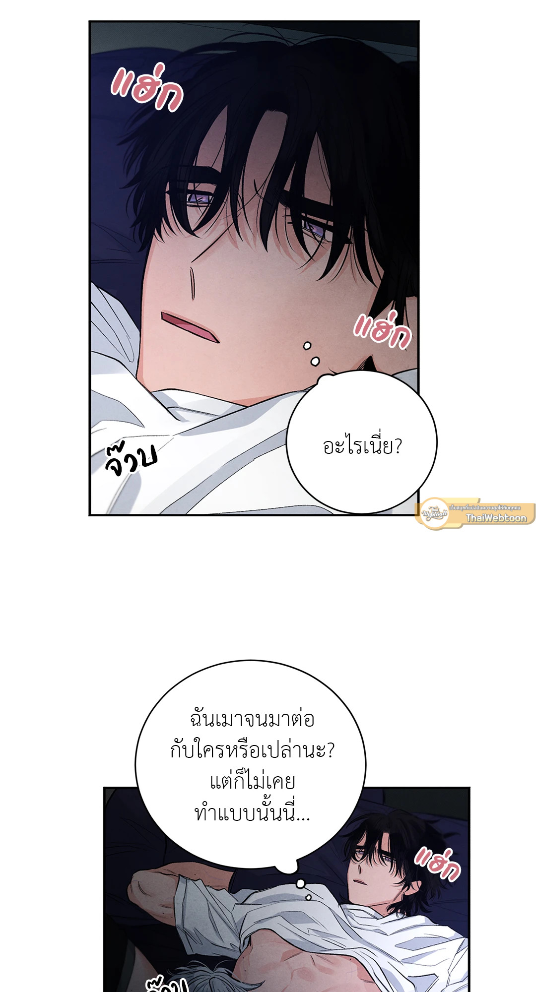 หน้า 41
