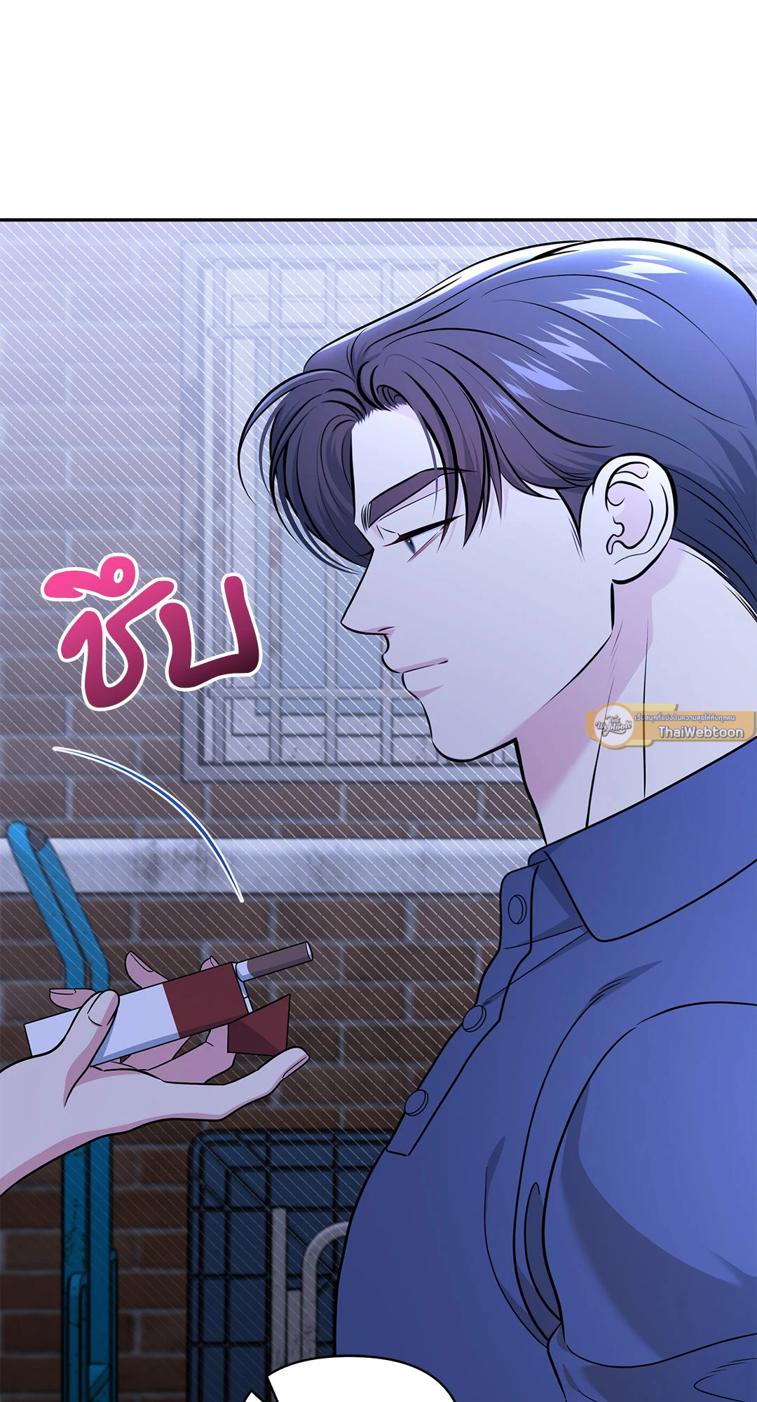 หน้า 43
