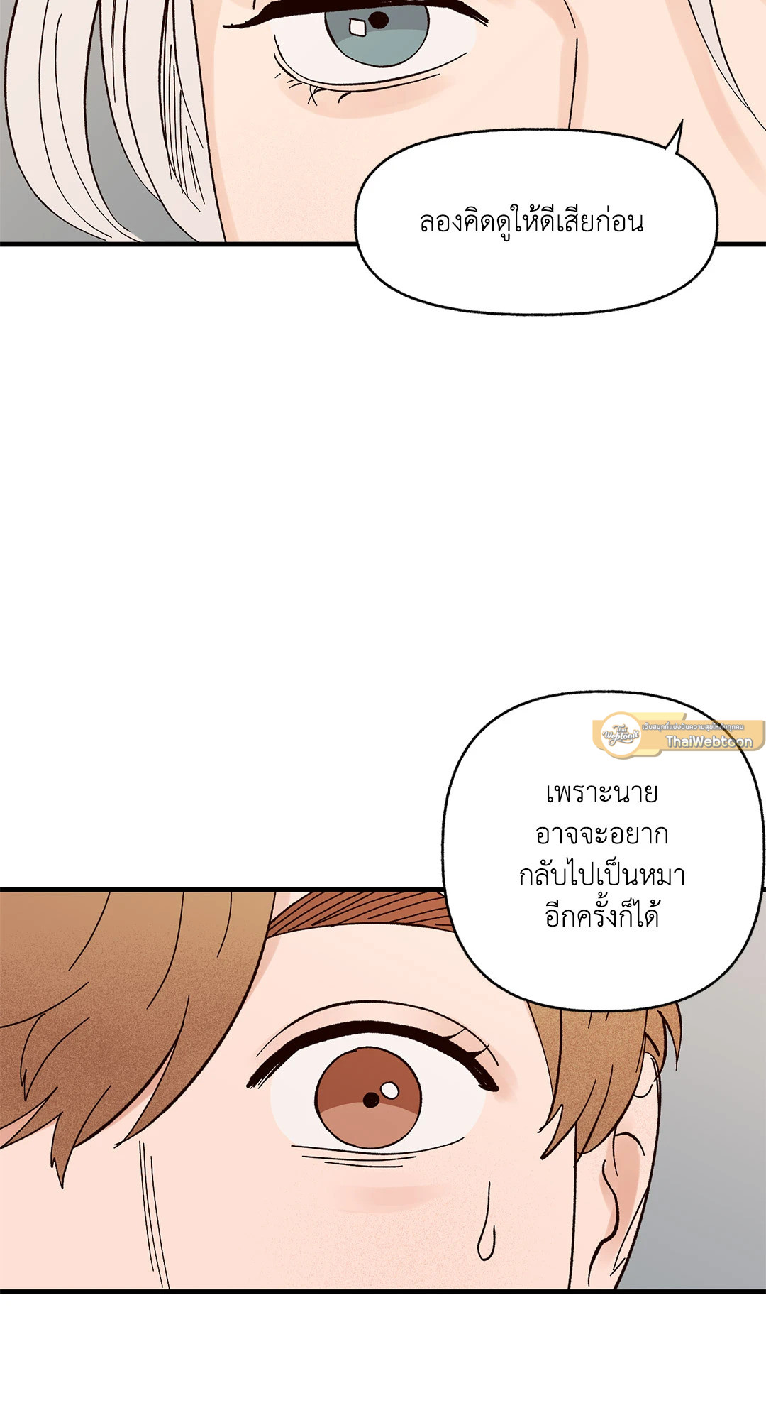 หน้า 47