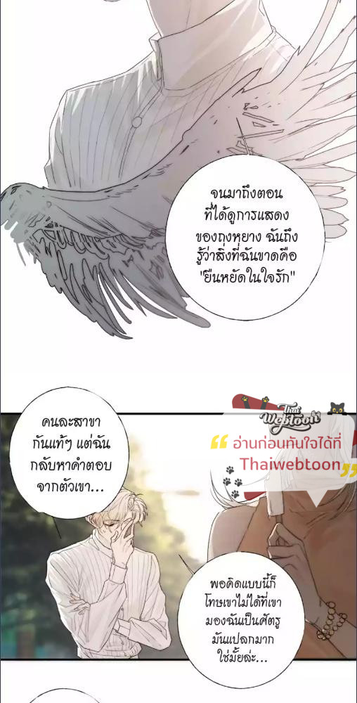 หน้า 41
