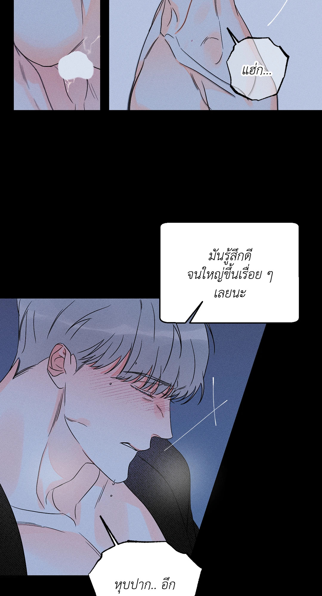 หน้า 43