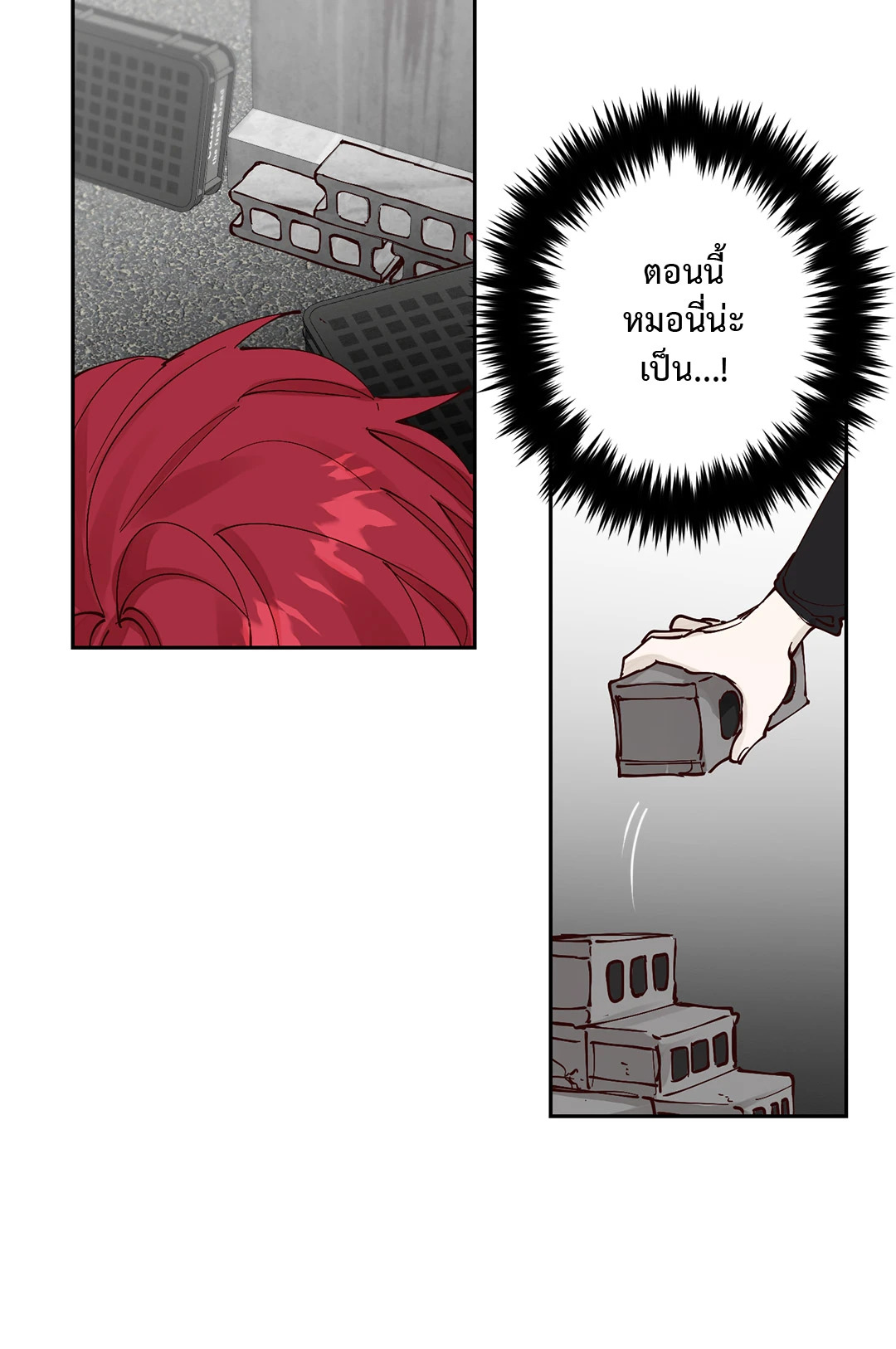 หน้า 50