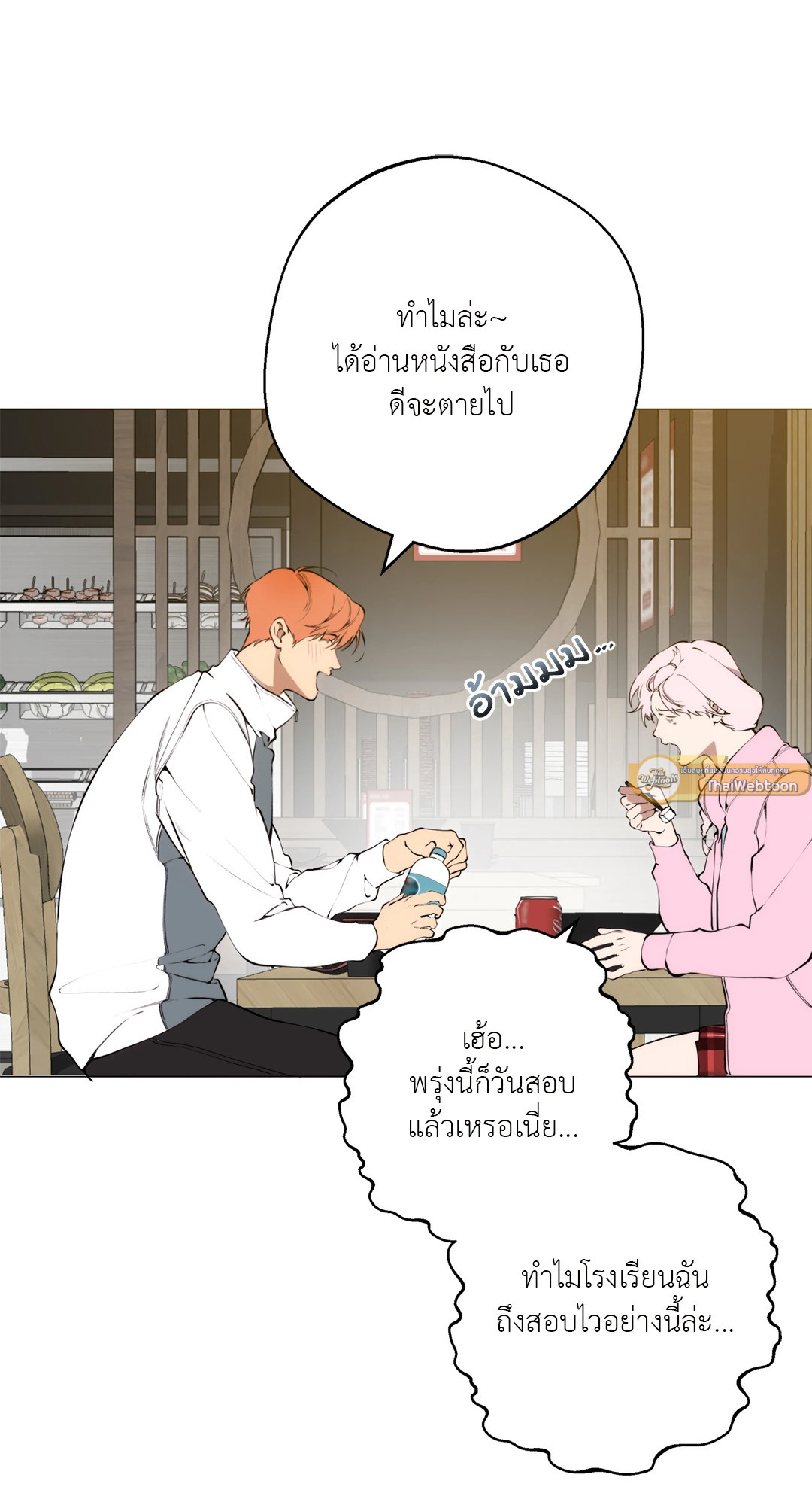 หน้า 13