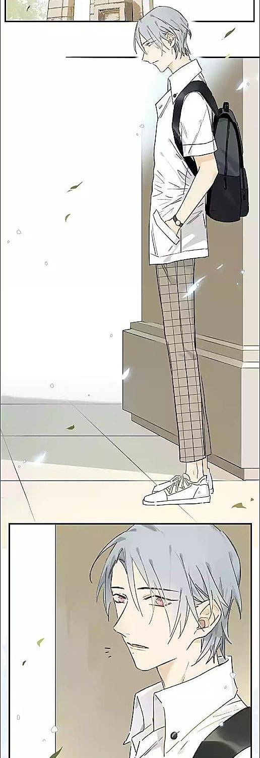 กฎรักแห่งออกัส | Ogus's Law ตอนที่ 15 - รูปที่ 2